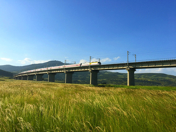 中鐵二局五公司參建的非洲第一條跨國標(biāo)準(zhǔn)軌現(xiàn)代電氣化鐵路通車